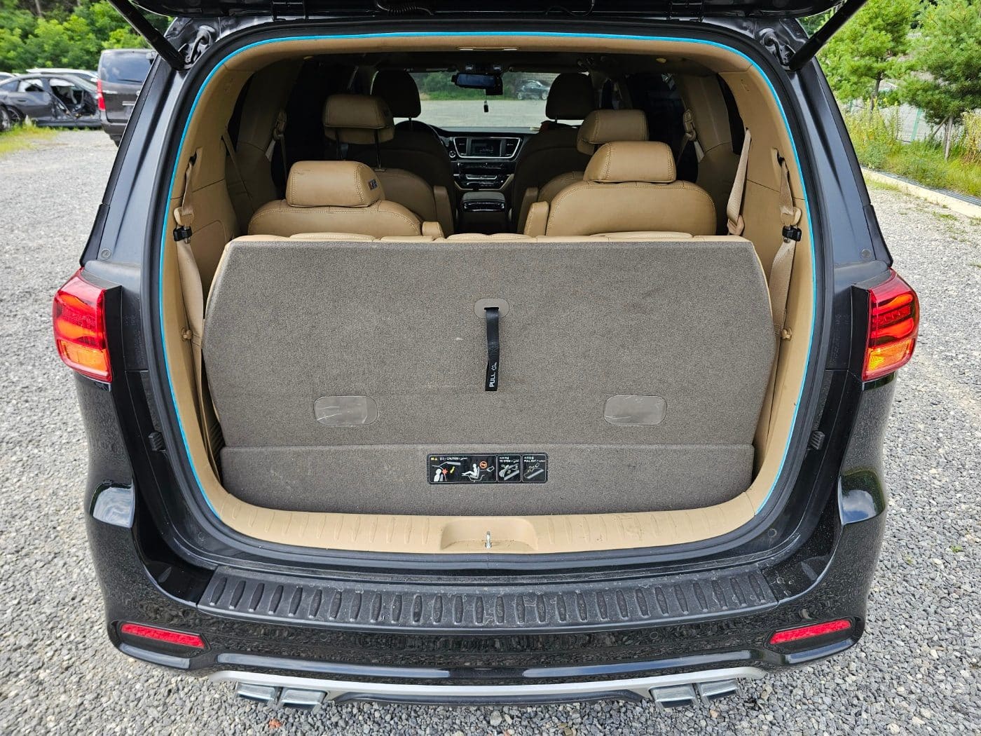 2020 Kia The New Carnival Gasoline (S/N: 666424) 15