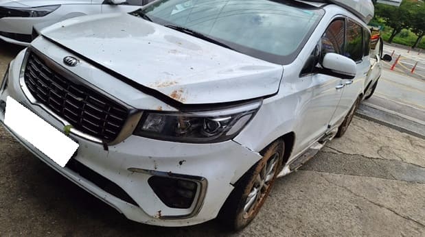 2019 Kia The New Carnival (S/N: 522723) [RB Auction]