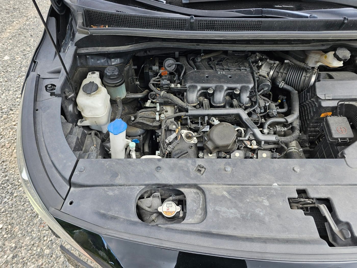 2020 Kia The New Carnival Gasoline (S/N: 666424) 27