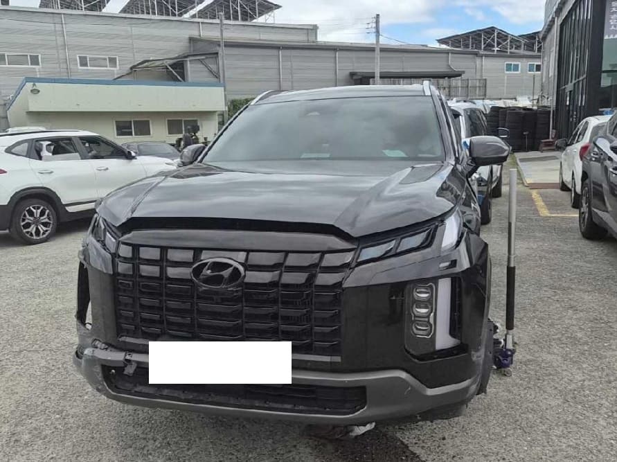 2023 Hyundai The New Palisade (S/N: 600170) [RB Auction]