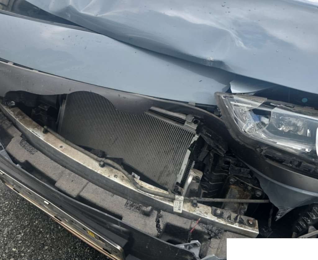 2018 Hyundai Ioniq Electric (025025) pre-producted 3