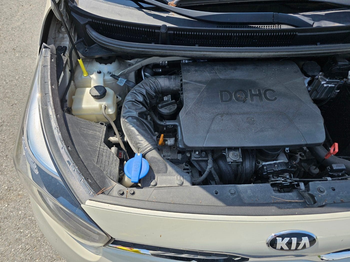 2019 Kia All New Morning (S/N: 454866) 18