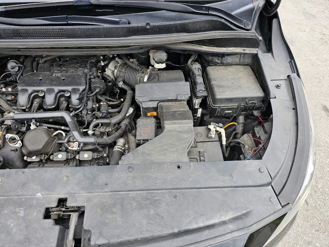 2020 Kia The New Carnival Gasoline (S/N: 666424) 26