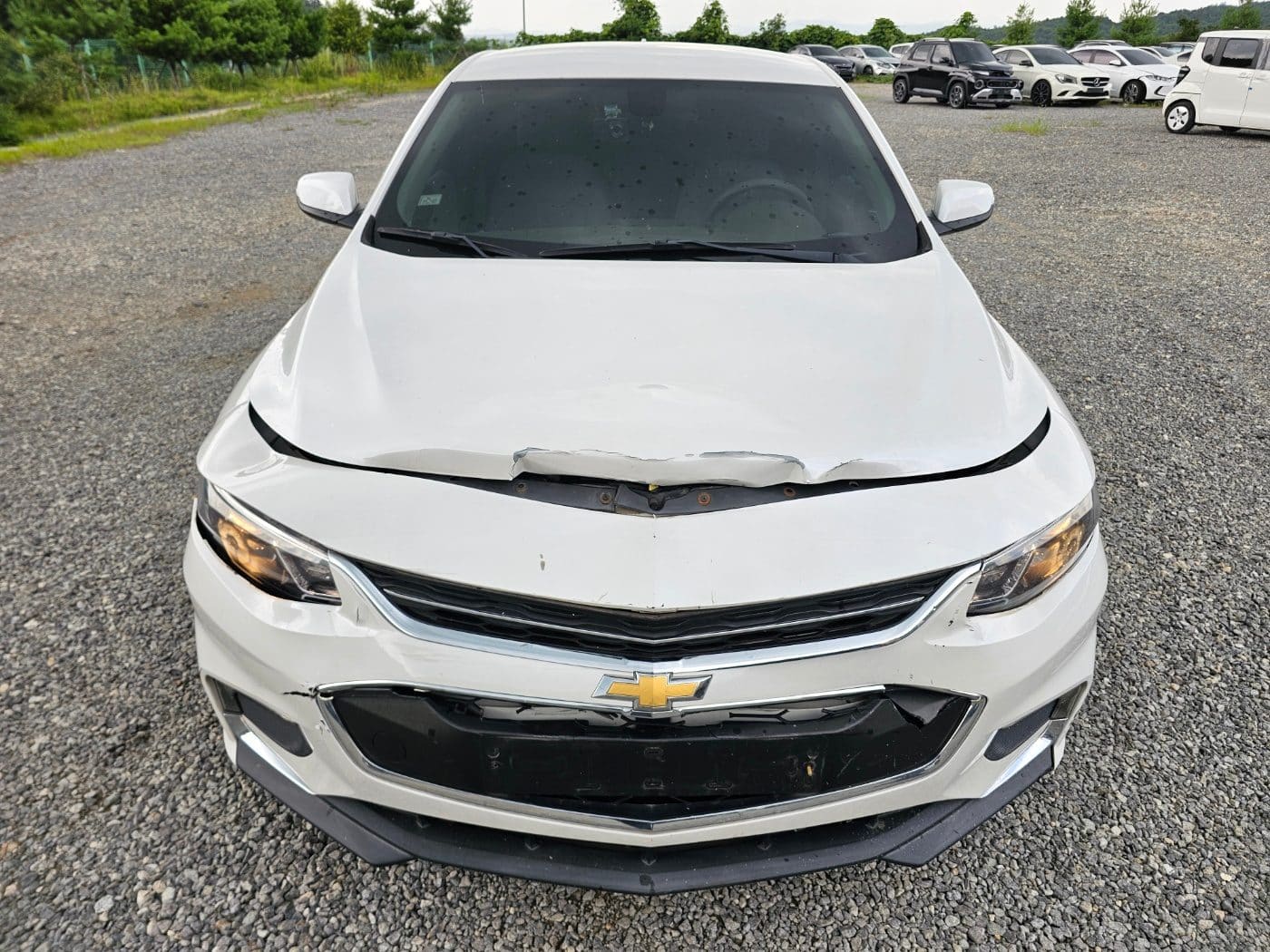 2018 Chevrolet All-New Malibu 1.5 Turbo (S/N: 018487) 2