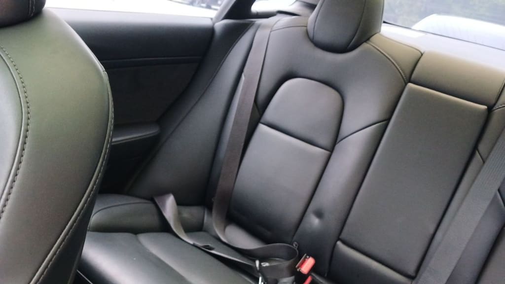 2020 Tesla Model 3 Standard Range Plus (733471) pre-producted 3