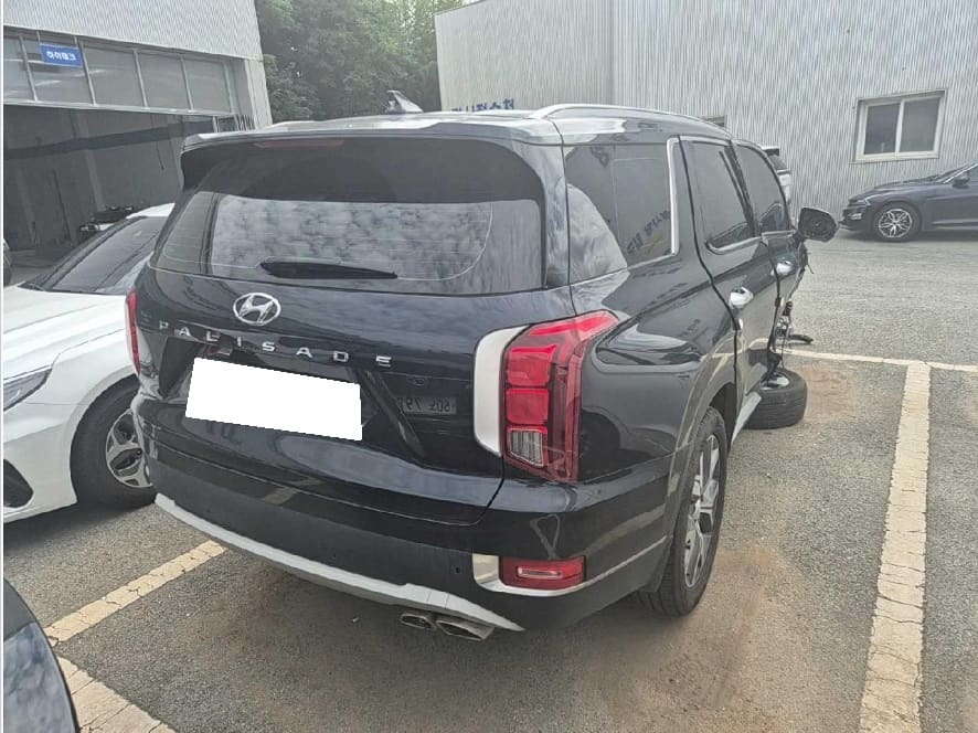 2021 Hyundai  Palisade (S/N: 234366) [RB Auction]