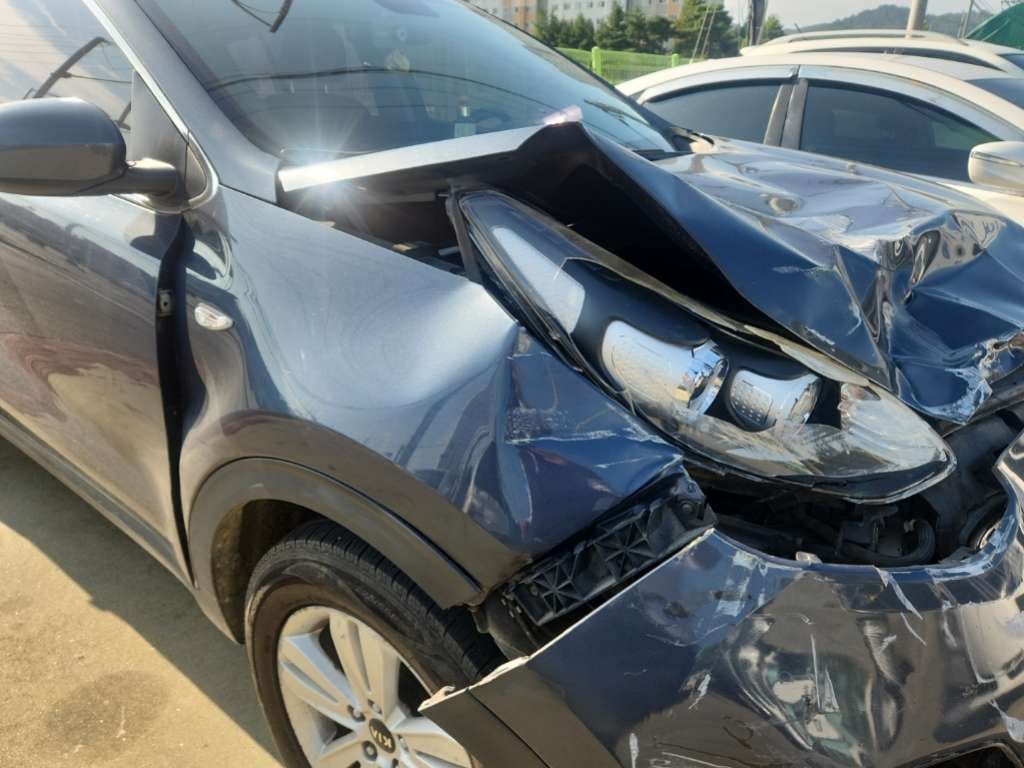 2016 Kia Sportage 4th Gen (QL) Diesel 1.7 2WD (141682) pre-producted 8