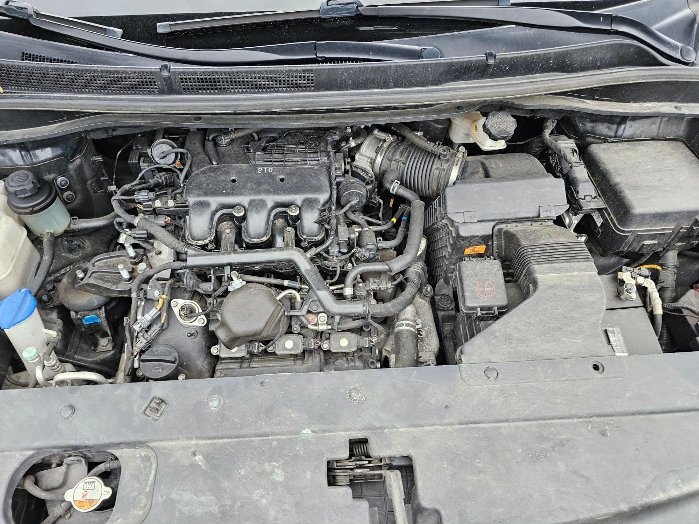 2020 Kia The New Carnival Gasoline (S/N: 666424) 28