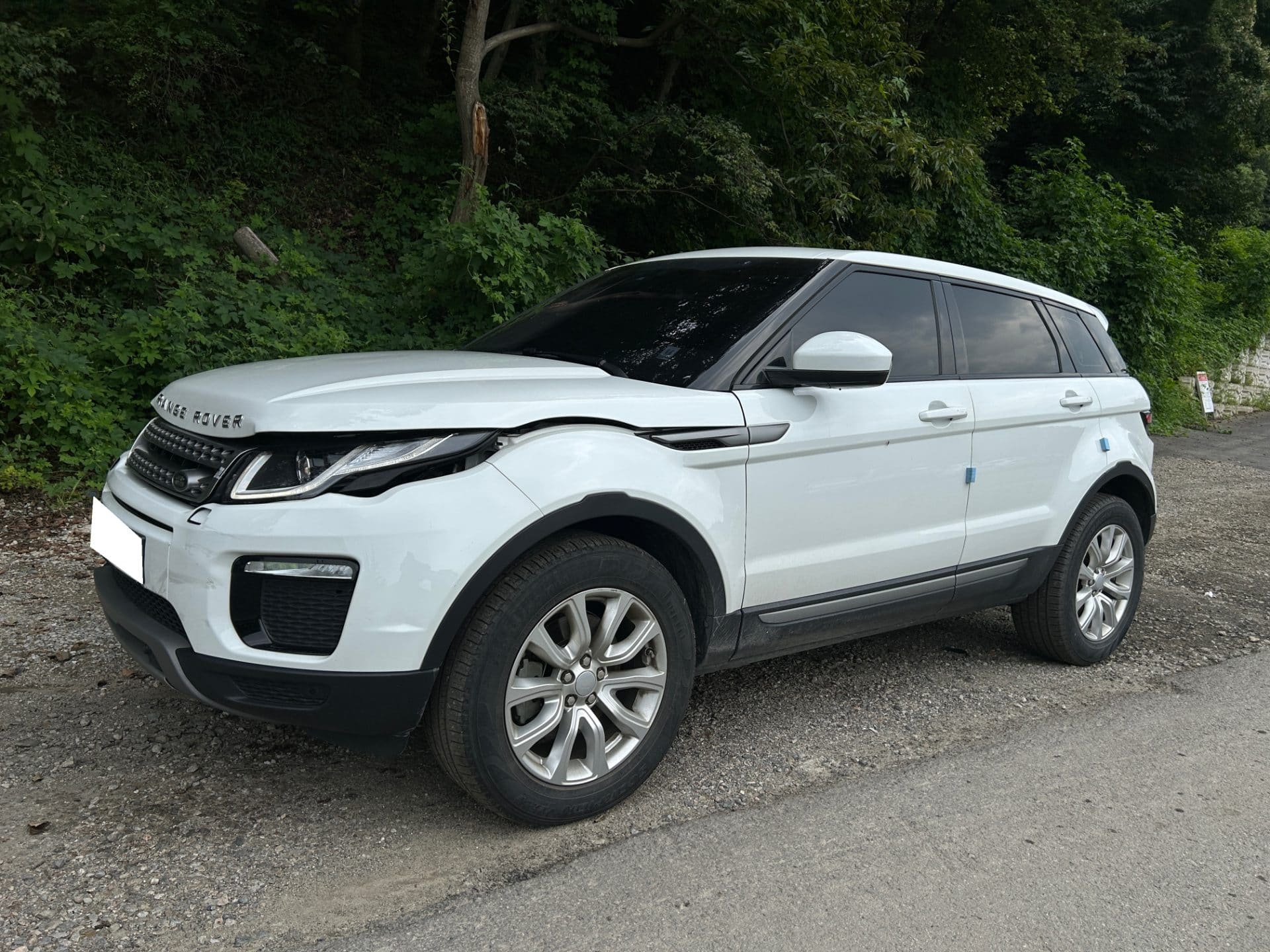 2018 Land Rover Range Rover Evoque 2.0 TD4 SE (322436) pre-producted