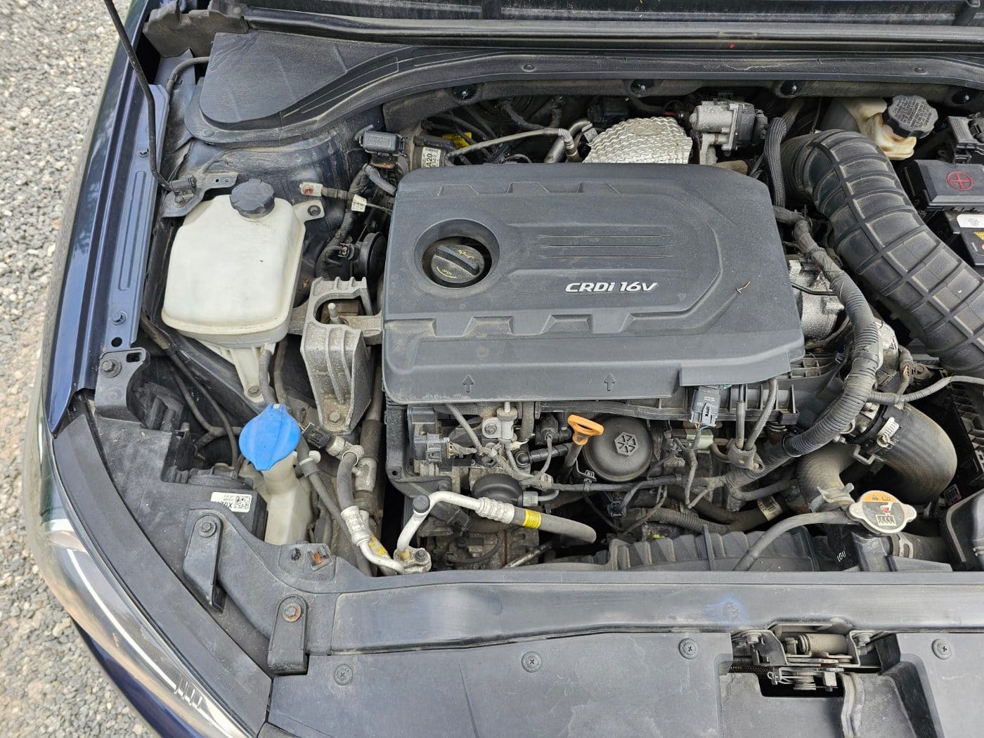 2017 Hyundai Avante AD 1.6 (S/N: 286409) 21