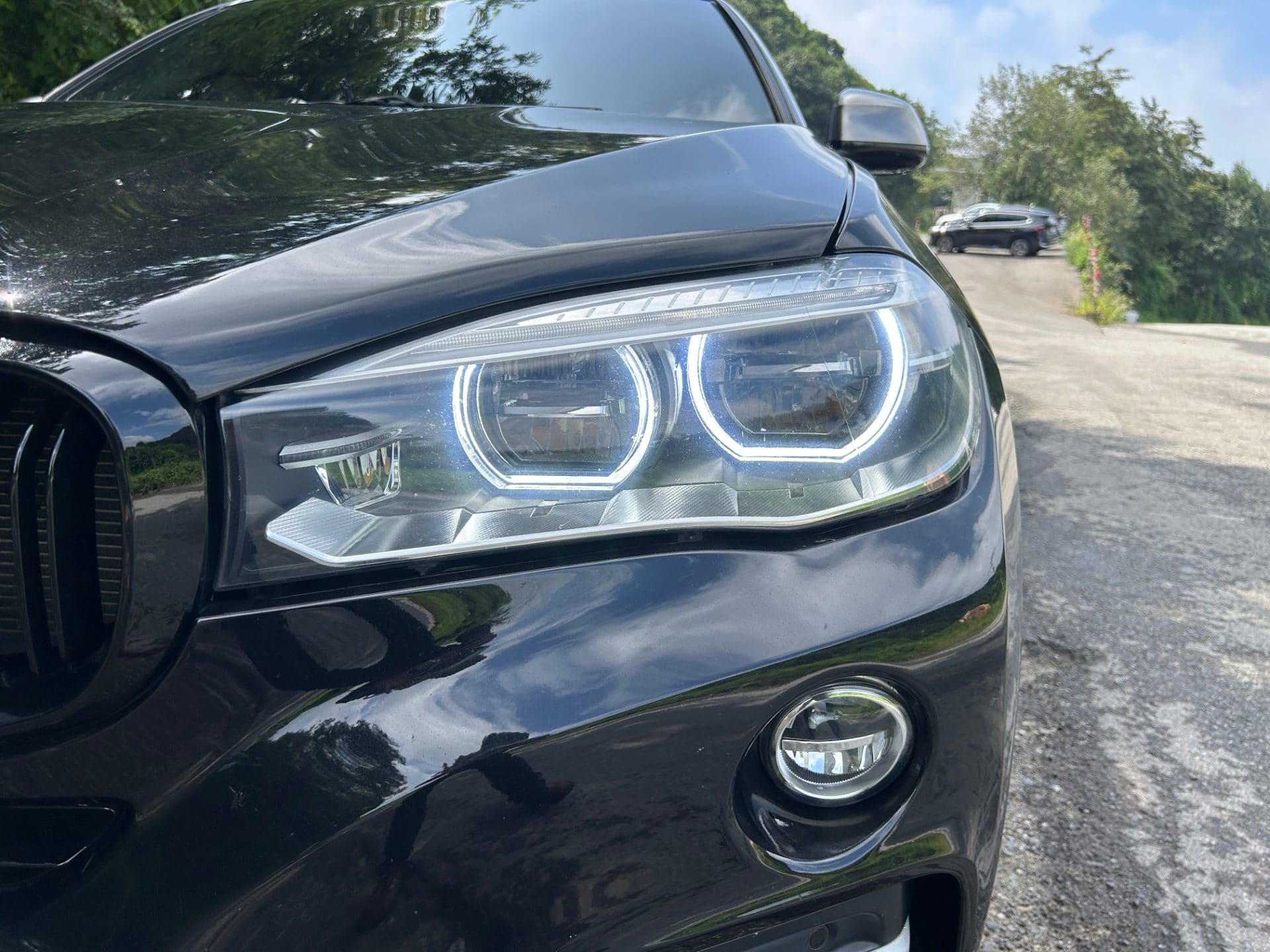 2017 BMW X6 (F16) xDrive 40d (S/N: U06624) 18