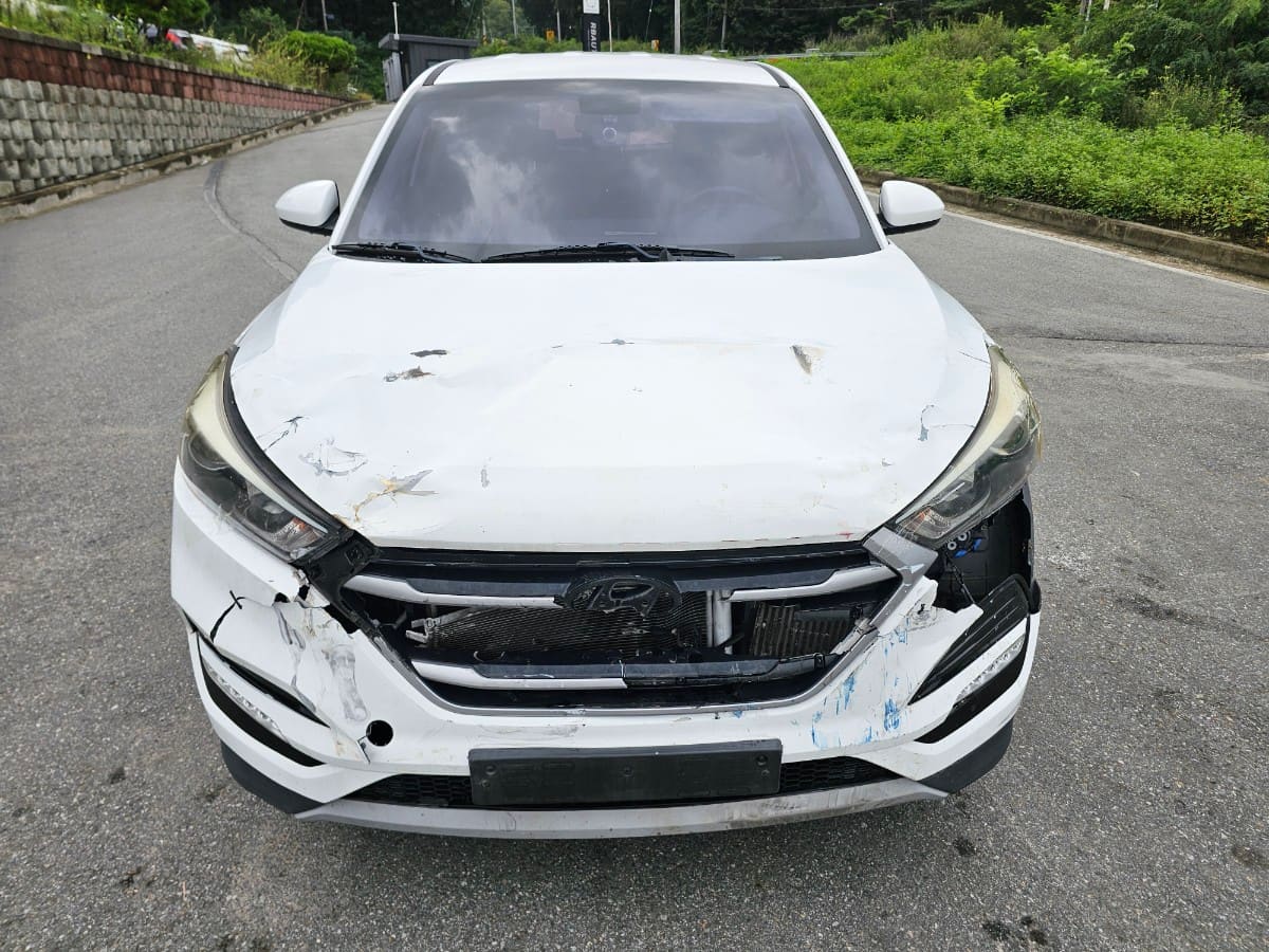 2018 Hyundai All-New Tucson Diesel 2.0 (S/N: 624743) 2