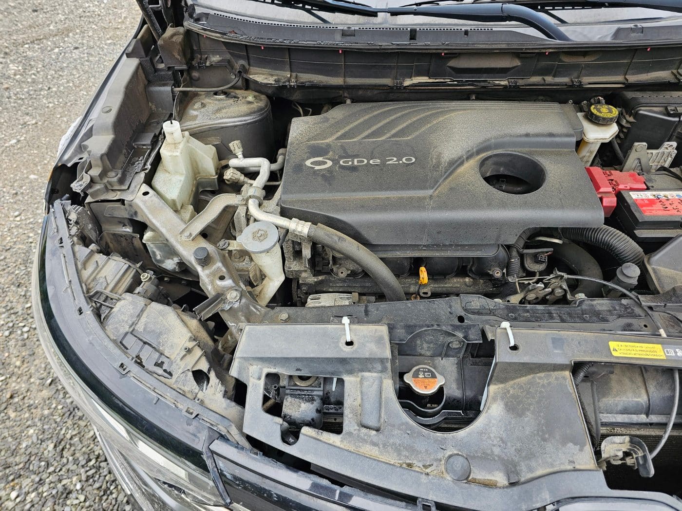 2019 Renault QM6 Gasoline 2WD (S/N: 020095) 19